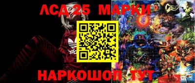 стаф Камышлов
