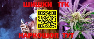 стаф Камышлов